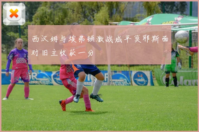 西汉姆与埃弗顿激战成平莫耶斯面对旧主收获一分