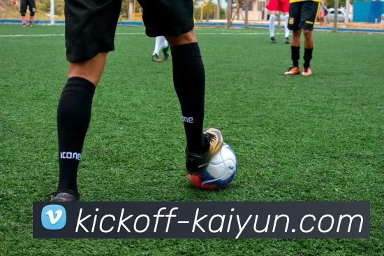 App Interface Preview